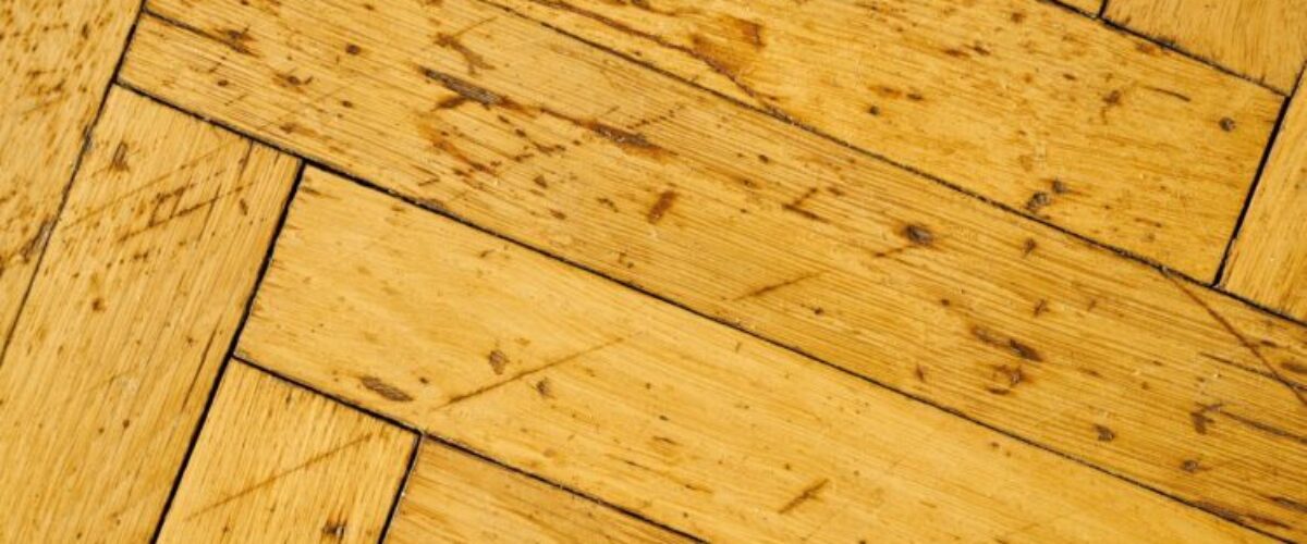 5_raisons_de_choisir_le_parquet_pour_votre_espace_de_vie_minimaliste