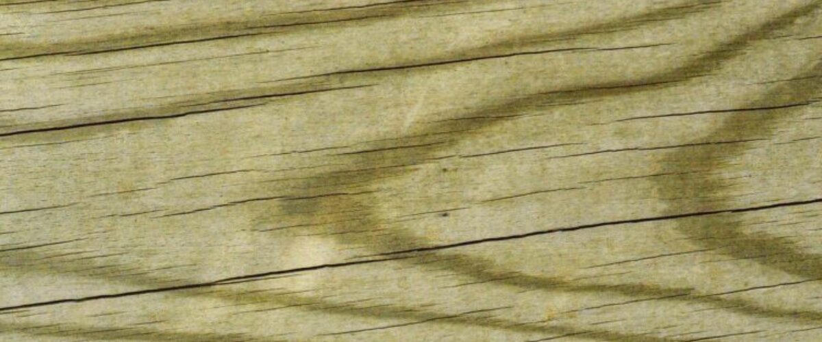 L_art_de_la_résistance_:_Choisissez_un_parquet_résistant_aux_rayures_
