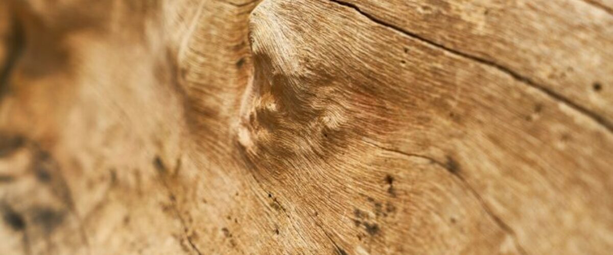 La_Perfection_du_Mélange:_Parquet_et_Design_Industriel_pour_une_Maison_de_Rêve