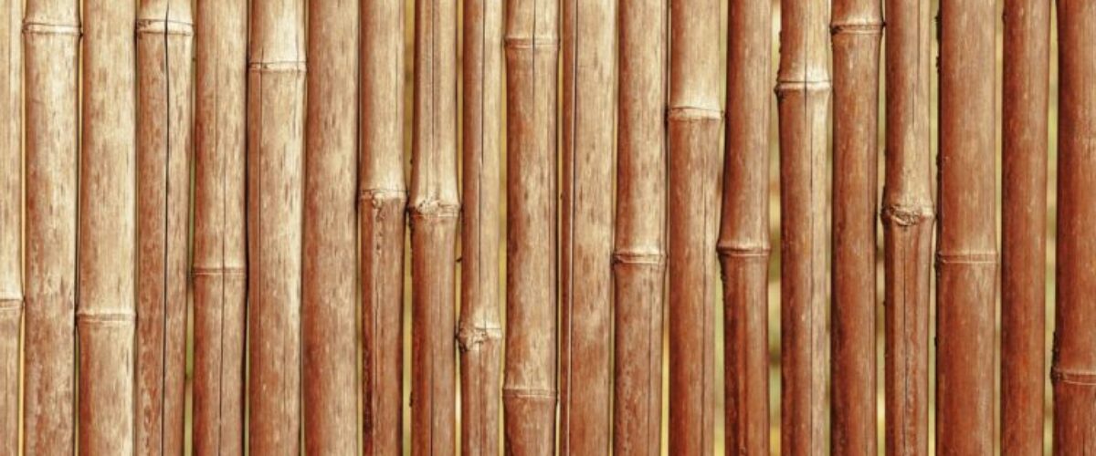 Les_meilleurs_types_de_parquet_pour_résister_à_l_humidité