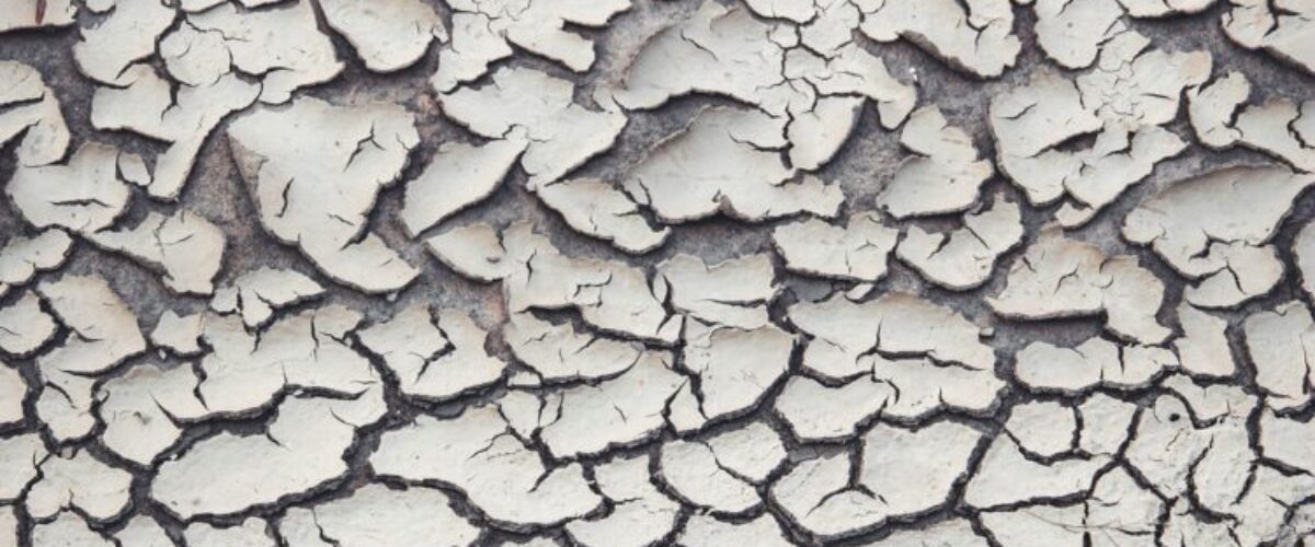 Parquet_et_réchauffement_climatique_:_tout_ce_que_vous_devez_savoir
