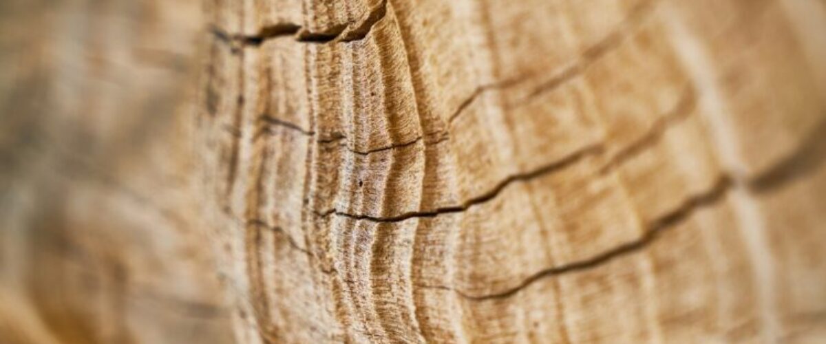 Solutions_innovantes_pour_l_isolation_phonique_de_votre_parquet_:_un_essentiel_pour_votre_maison